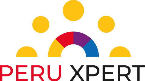 expert expert