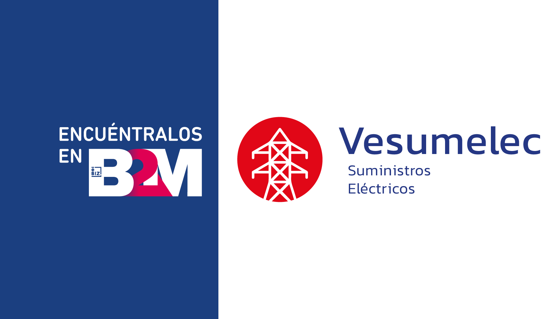 Bienvenida Vesumelec | eBIZ Noticias