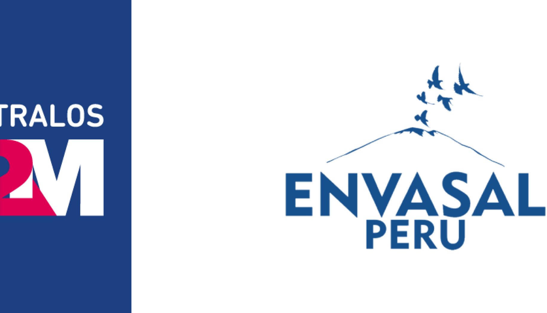 ENVASAL-PERU-1200X440