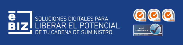 eBIZ: soluciones digitales para liberar el potencial de tu cadena de suministro.