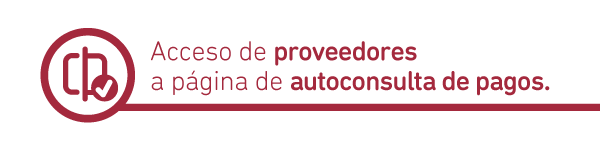 Acceso de proveedores a página de autoconsulta de pagos.